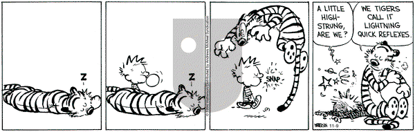 Calvin and Hobbes - Saturday November 9, 2024 Comic Strip