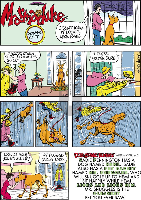 Marmaduke on Sunday May 27, 2018 Comic Strip