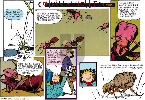 Calvin and Hobbes on Sunday June 28, 1992 Comic Strip
