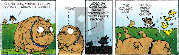 Over the Hedge on Wednesday April 6, 2016 Comic Strip