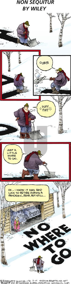 Non Sequitur - Sunday February 14, 2021 Comic Strip