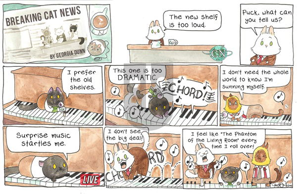 Breaking Cat News on Sunday August 7, 2016 Comic Strip