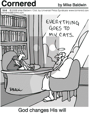 Cornered on Thursday October 9, 2008 Comic Strip