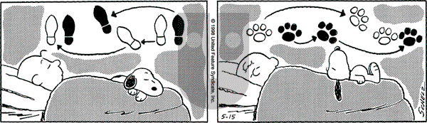 Peanuts - Friday May 15, 1998 Comic Strip