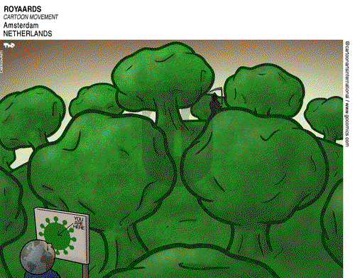 ViewsAsia on Monday October 5, 2020 Comic Strip