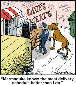 Marmaduke on Thursday June 17, 2021 Comic Strip
