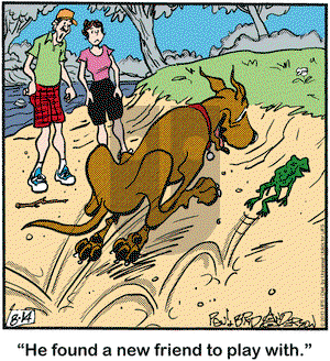 Marmaduke on Wednesday August 14, 2013 Comic Strip