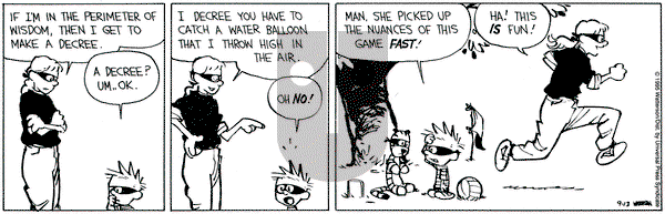 Calvin and Hobbes on Wednesday September 13, 1995 Comic Strip