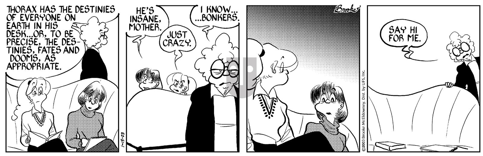 9 Chickweed Lane - Wednesday January 15, 2003 Comic Strip