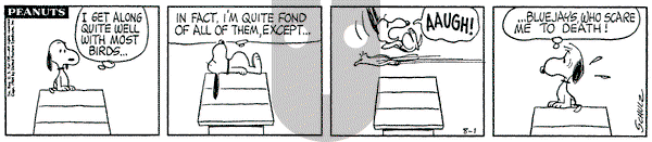 Peanuts on Saturday August 1, 1964 Comic Strip