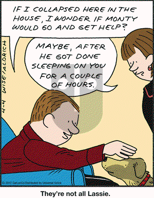 Real Life Adventures on Wednesday April 4, 2012 Comic Strip