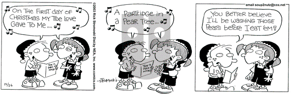 Soup to Nutz - Old on Friday December 26, 2003 Comic Strip