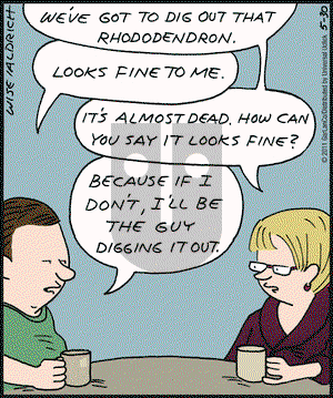 Real Life Adventures on Thursday May 29, 2025 Comic Strip