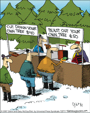 The Flying McCoys on Wednesday December 11, 2013 Comic Strip