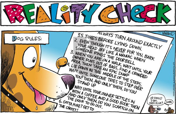 Reality Check on Sunday January 20, 2019 Comic Strip
