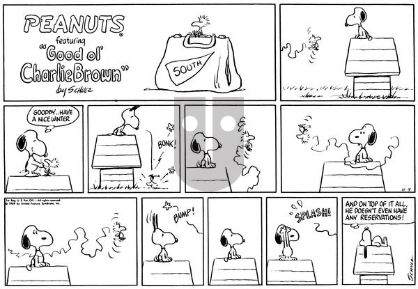 Peanuts on Sunday November 9, 1969 Comic Strip