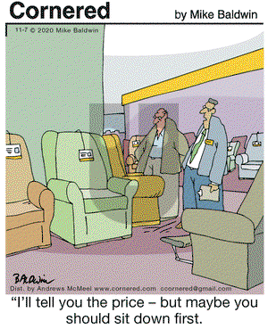 Cornered on Saturday November 7, 2020 Comic Strip
