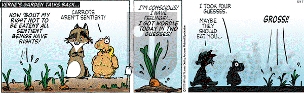 Over the Hedge on Tuesday June 17, 2025 Comic Strip