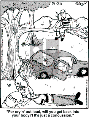 Close to Home on Thursday May 25, 2006 Comic Strip