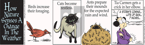 Baldo - Monday July 20, 2009 Comic Strip