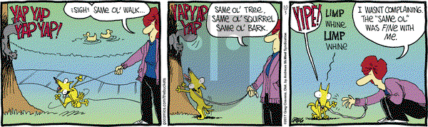 The Buckets on Tuesday October 3, 2017 Comic Strip