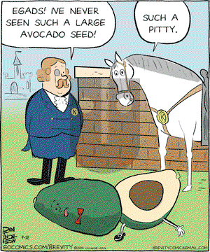 Brevity on Saturday July 12, 2014 Comic Strip