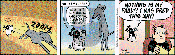 Pooch Cafe on Wednesday August 14, 2019 Comic Strip