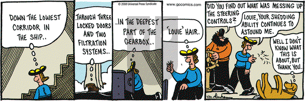 Overboard on Wednesday July 30, 2008 Comic Strip