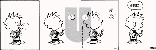 Calvin and Hobbes - Saturday August 6, 1988 Comic Strip