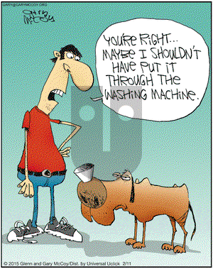 The Flying McCoys on Wednesday February 11, 2015 Comic Strip