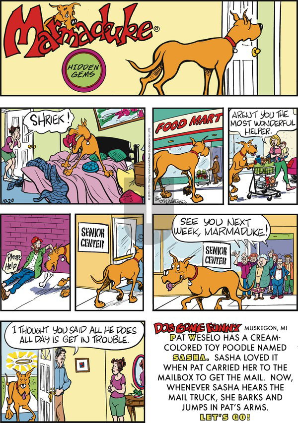 Marmaduke on Sunday October 20, 2019 Comic Strip