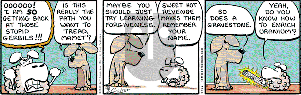 DeFlocked on Tuesday June 2, 2009 Comic Strip