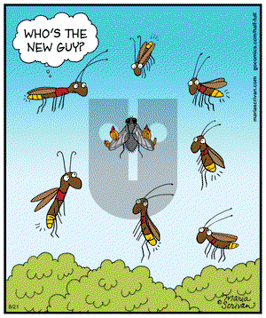 Half Full - Thursday August 21, 2014 Comic Strip