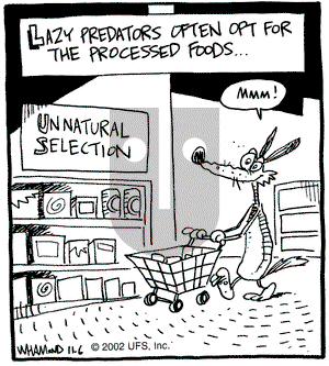 Reality Check on Wednesday November 6, 2002 Comic Strip