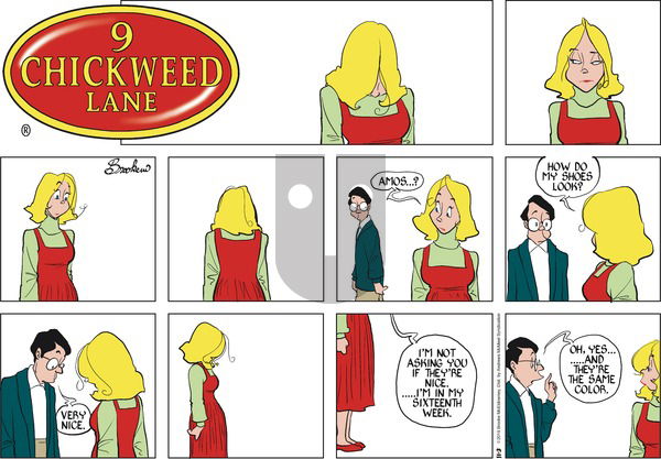 9 Chickweed Lane on Sunday November 3, 2019 Comic Strip