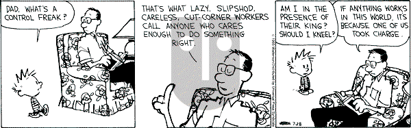 Calvin and Hobbes - Wednesday July 28, 1993 Comic Strip