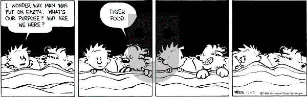Calvin and Hobbes - Friday November 10, 1989 Comic Strip