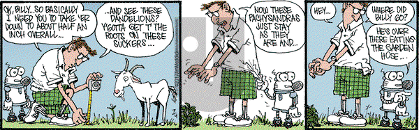 Monty on Tuesday July 4, 2017 Comic Strip