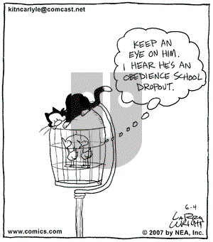 Kit 'N' Carlyle on Monday June 4, 2007 Comic Strip