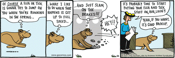 Overboard on Wednesday May 3, 2017 Comic Strip