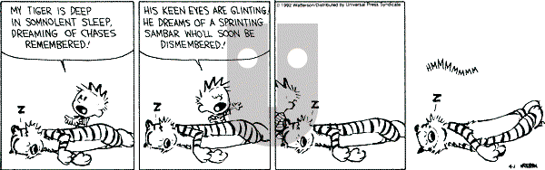 Calvin and Hobbes - Wednesday April 1, 1992 Comic Strip