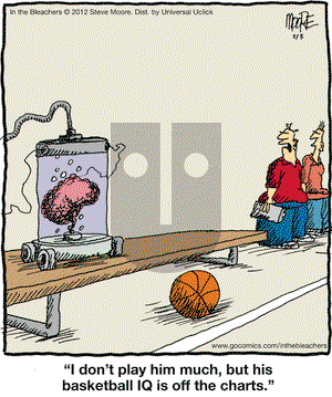 In the Bleachers on Friday February 3, 2012 Comic Strip