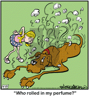 Marmaduke on Monday April 8, 2013 Comic Strip