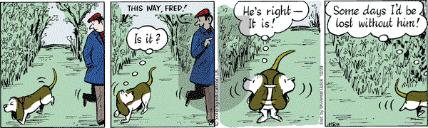 Fred Basset on Tuesday October 29, 2013 Comic Strip