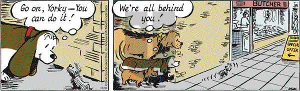 Fred Basset on Wednesday December 30, 2020 Comic Strip