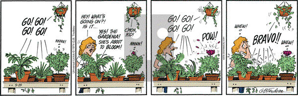 Doonesbury on Thursday May 29, 2014 Comic Strip