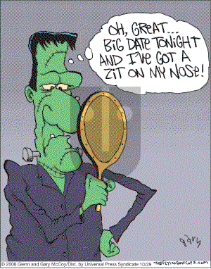 The Flying McCoys on Wednesday October 29, 2008 Comic Strip