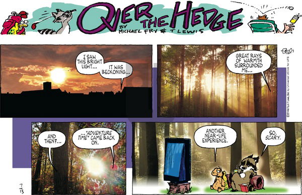 Over the Hedge on Sunday July 13, 2014 Comic Strip
