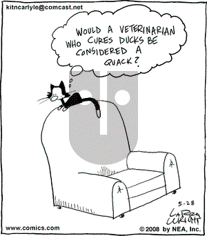 Kit 'N' Carlyle on Thursday August 7, 2008 Comic Strip