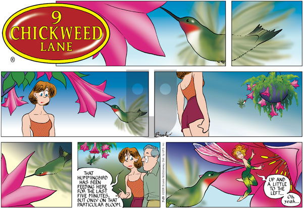 9 Chickweed Lane on Sunday July 23, 2006 Comic Strip